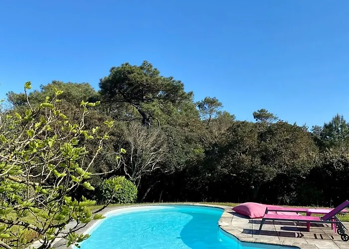 Bourdaines - Entre Ocean Et Foret Villa *